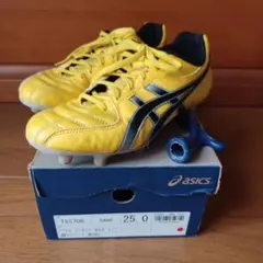 Item thumbnail for item 42cdc900-8870-4248-9cae-74139f0d7483