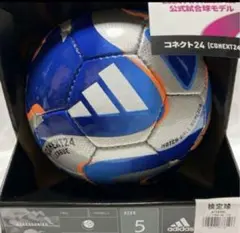 Item thumbnail for item 99168d11-5355-4f00-8ce1-5bd5ac642a7b