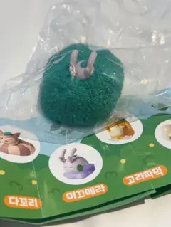 韓国限定 ポケモン ポップアップ ガチャ　フィギュア　ヌメラ