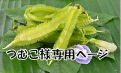 つむこ様専用ページ