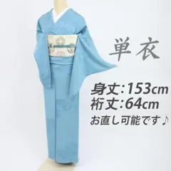着用少ない！単衣＊幻想的花柄＊居敷当て付き＊青藤色＊訪問着＊１５５ｃｍ＊裄６５ 着用少ない！単衣＊幻想的花柄＊居敷当て付き＊青藤色＊訪問着