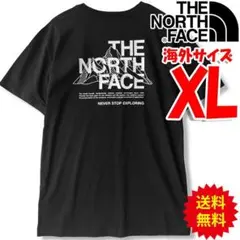ラスト1着！ ノースフェイス ロンT 長袖Tシャツ 海外XXL 日本4L相当