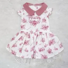 Item thumbnail for item a76b64c3-de52-4d2f-b0b4-0119232008b7