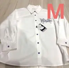 Item thumbnail for item c4e9ec7c-06a2-45f1-b0e7-ad0c06620167