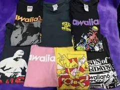 hawaiian6 ミュージシャン