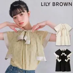 LILY BROWN リリーブラウン エンブロイダリーチャイナトップス 
