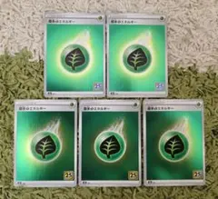 ポケモンカード 25th 草エネルギー