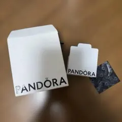 PANDORA パンドラ ショップ袋 ギフトボックス セット
