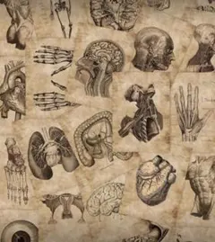 Item thumbnail for item 391fb073-7c7f-4a23-9ef3-6e7f9b902e6c