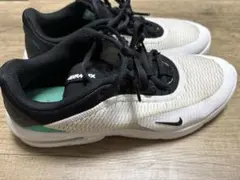 NIKE ナイキ Air Max Advantage 3 27cm スニーカー