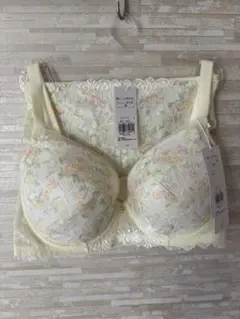 E75&M」トリンプ プレミアム レッドレーベル クチナシの花 ブラ&ショーツ