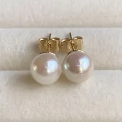 あこや真珠　スタッドピアス　F603