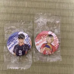 影山飛雄・日向翔陽 缶バッジセット