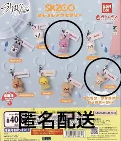 straykids skzoo めじるしアクセサリー　３個セット　ガチャガチャ