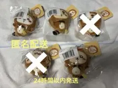 ちいかわ たぬきだもんくじ C賞3種5点セット