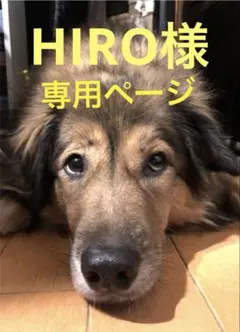 新品・タグ付き☆ロキシー　ショートパンツ　ROXY 花柄　レディース　M