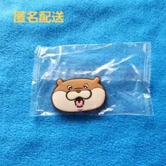 可愛い嘘のカワウソ　ラバーマグネットだぬ！2個セット