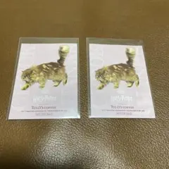 タリーズ　ハリーポッター　ステッカー