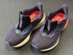 美品　MIZUNO WAVE RIDER29 24cm