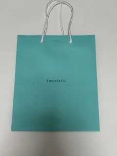 Tiffany & Co. ティファニー 紙袋 20×25cm ショッパー - メルカリ