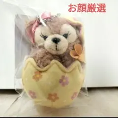 ディズニーシー シェリーメイ　ぬいぐるみチャーム　 カムファインドスプリング
