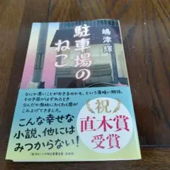 駐車場のねこ