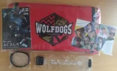 ウルフドッグス名古屋　FC特典　ファン感謝祭　CS