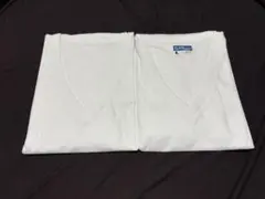 吸汗速乾 VネックTシャツ 2枚組 Lサイズ