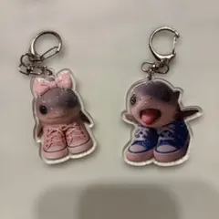 イタリアンブレインロット　アクリルキーホルダー　セット