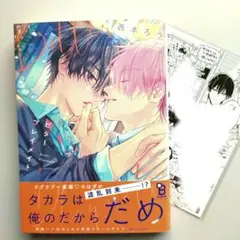 【匿名配送】「ビタープレイメイト 3」 西本ろう 先生