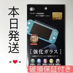 最安値ニンテンドースイッチライト用強化ガラス保護フィルム