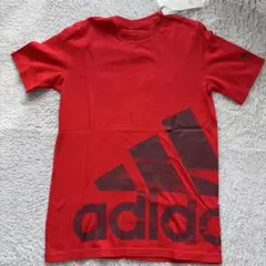 Item thumbnail for item 09e8cfb9-39de-44eb-a578-821bb88042f3