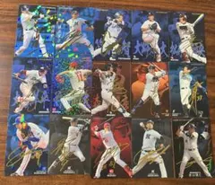 プロ野球チップス まとめ売り サインカード