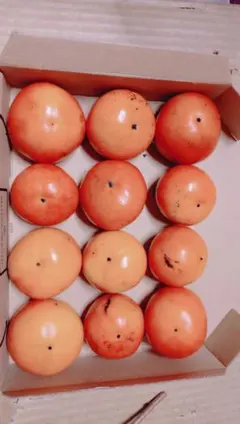 新鮮なオレンジ色の柿 12個入り