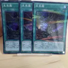 442 失楽園 3枚セット 20AP-JP008