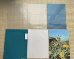 A4クリアファイル 6枚セット