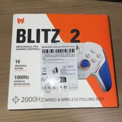 BIGBIG WON BLITZ2 カーボンフィルム コントローラ
