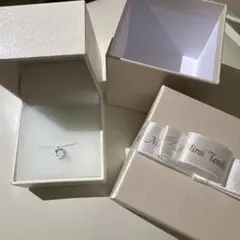天使の卵 ネックレス