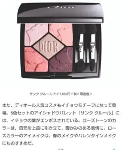 2026年最新】DIORディオールショウサンククルール173レトワールの人気