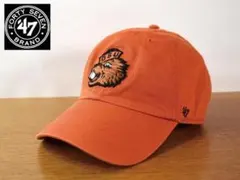 Item thumbnail for item 93d03d2a-cbaf-4874-89c8-4b83fc1a3ce2