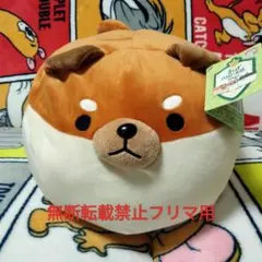 2026年最新】にゃもち ドウシシャの人気アイテム - メルカリ