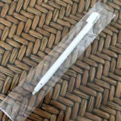 未使用・任天堂DSliteタッチペン