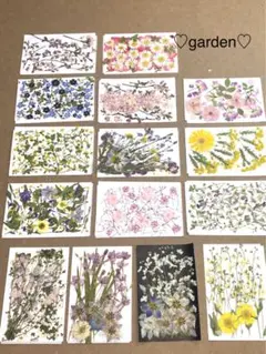 押し花16枚セット　　No.1352