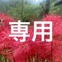 もちもちマスコット 刀剣乱舞ONLINE vol.9