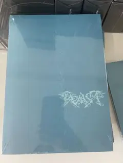 ald1 '少年BEAST' (Cementic Nest Ver.)アルバム