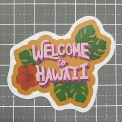 【MMM-27】防水ステッカー ハワイ Hawaii アメリカ ハイビスカス