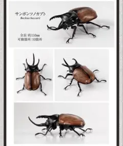 いきもの大図鑑 カプセルトイ