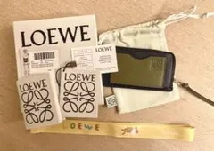 LOEWE ロエベ コインカードホルダー フラグメントケース
