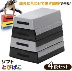 ☆ 良品 KaRaDaStyle 跳び箱 室内 ソフト 雨 知育 運動神経 体操