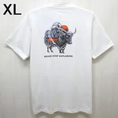 Item thumbnail for item 5399c402-1448-4880-9711-aa313af503b2